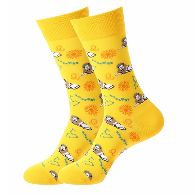 Κάλτσες Funky Socks "Leo" (S039)